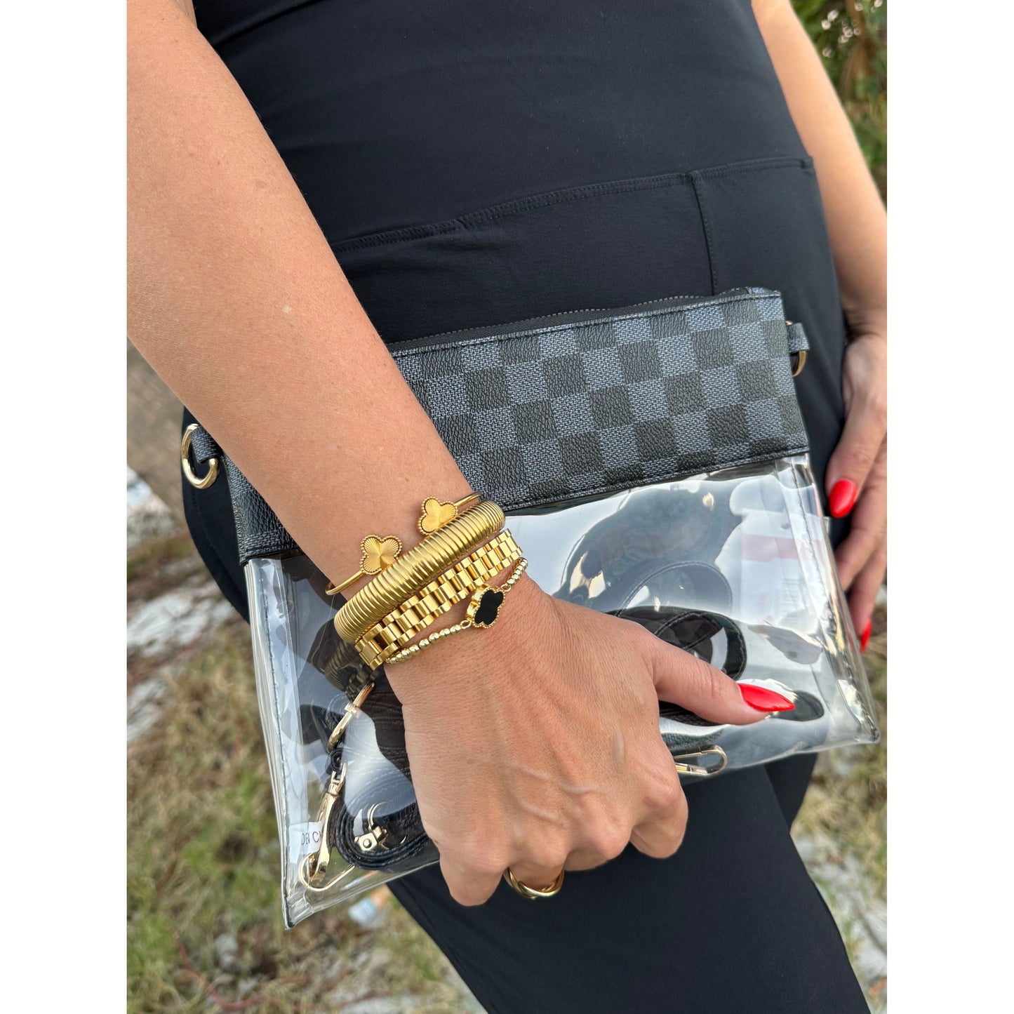 Clear Inspo Bag