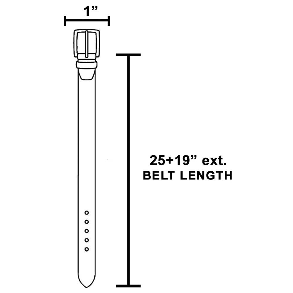 Simple Western Concho Oval Chain Belt