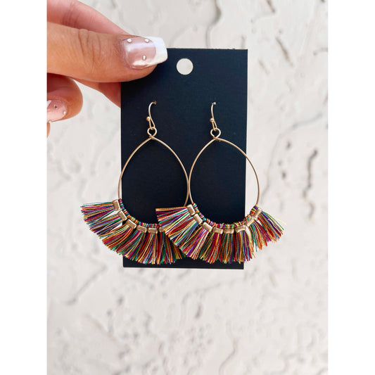 Multi Color Tassel Earrings